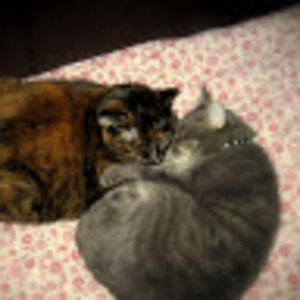 Meet your Posher, Lydia